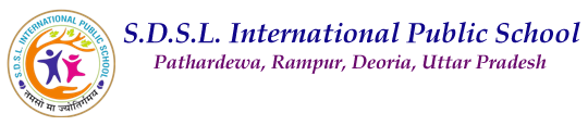 S.D.S.L. International Public School
